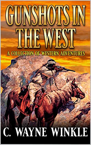 Gunshots In The West book cover