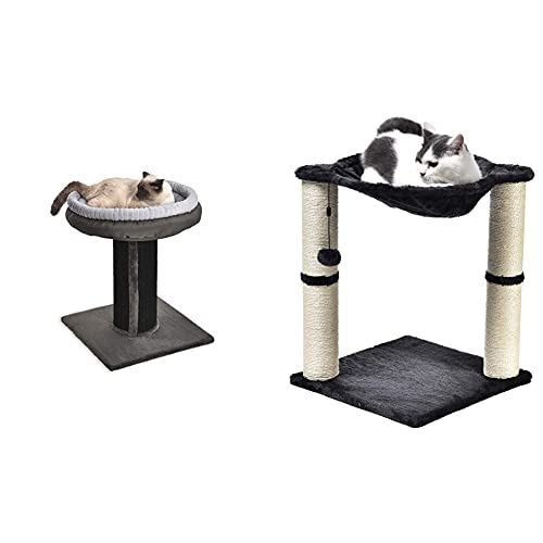 extra large cat beds