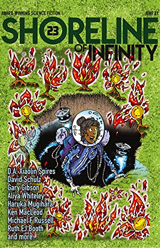 Shoreline of Infinity 23 book cover