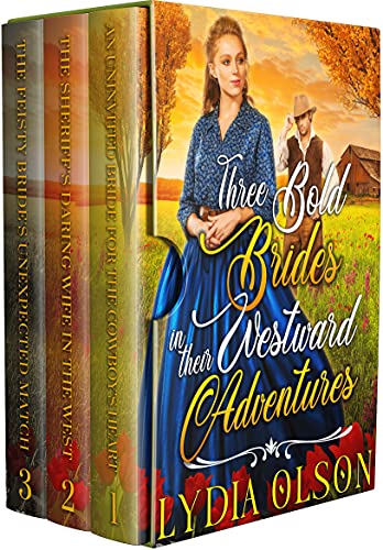 Three Bold Brides in their Westward Adventures book cover