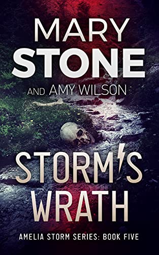 Storm's Wrath book cover