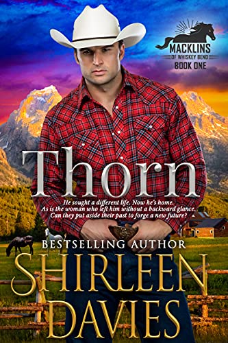 Thorn book cover