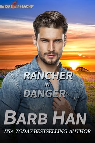 Rancher in Danger book cover