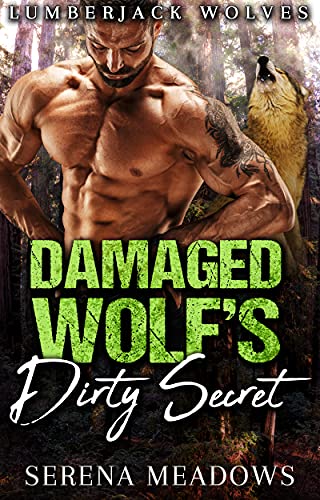 Damaged Wolf's Dirty Secret book cover