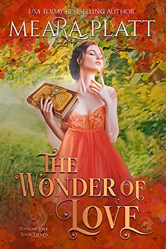 The Wonder of Love book cover