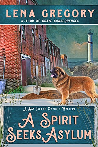 A Spirit Seeks Asylum book cover