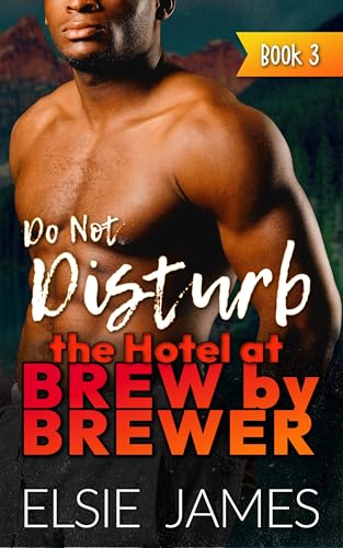 Do Not Disturb book cover