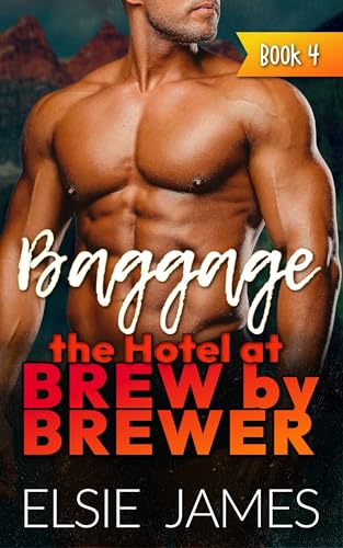 Baggage book cover