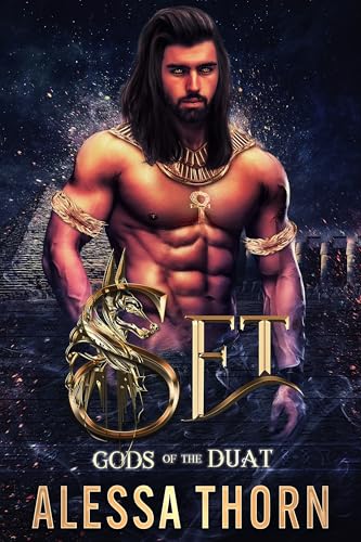 Set book cover