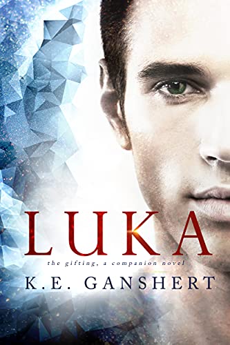 Luka book cover