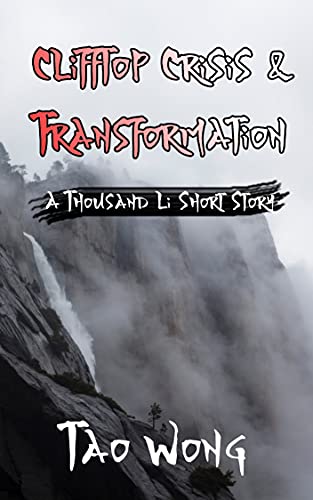 Clifftop Crisis and Transformation book cover
