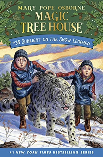 Sunlight on the Snow Leopard book cover