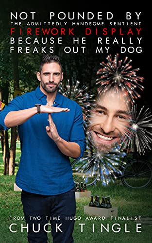 Not Pounded By The Admittedly Handsome Sentient Firework Display Because He Really Freaks Out My Dog book cover