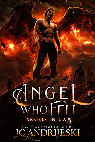 Angel Who Fell book cover