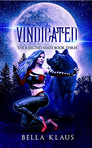 Vindicated book cover