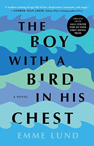 The Boy with a Bird in His Chest book cover