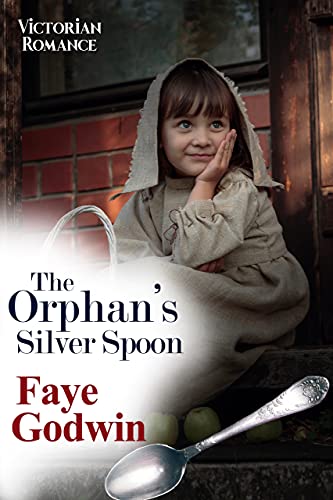 The Orphan's Silver Spoon book cover