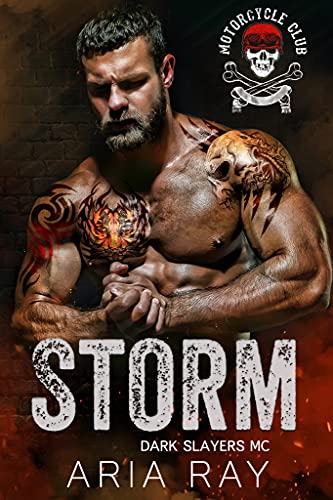 Storm book cover
