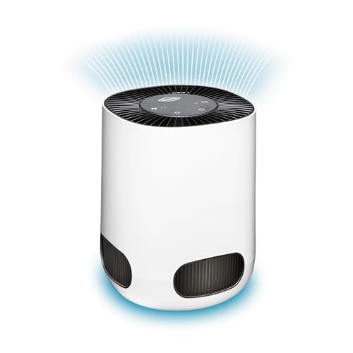 Clorox Air Purifiers for Bedroom Home, True HEPA Filter, Small Rooms Up to 200 Sq Ft, Removes 99.9% of Mold, Viruses, Wildfire Smoke, Allergens, Pet Allergies, Dust, AUTO Mode, Whisper Quiet