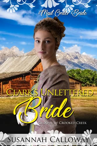 Clark's Unlettered Bride book cover