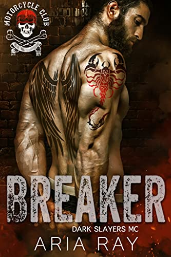 Breaker book cover