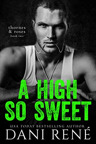 A High so Sweet book cover