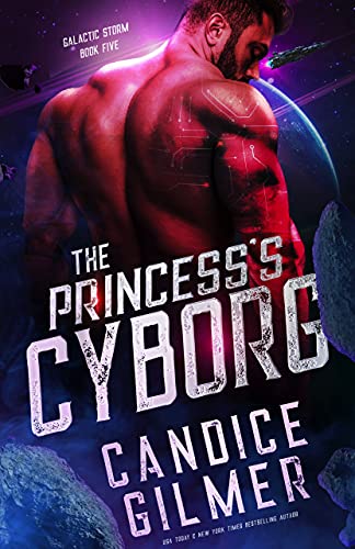 The Princess's Cyborg cover
