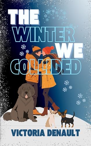 The Winter We Collided book cover