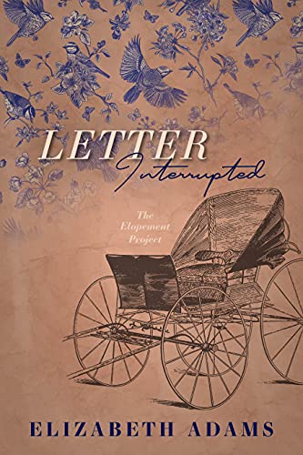 Letter Interrupted book cover