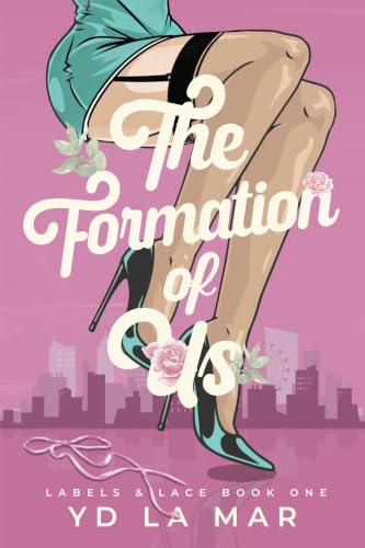 The Formation of Us book cover
