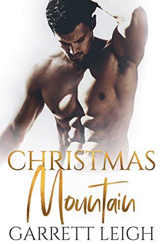 Christmas Mountain book cover