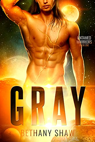 Gray book cover
