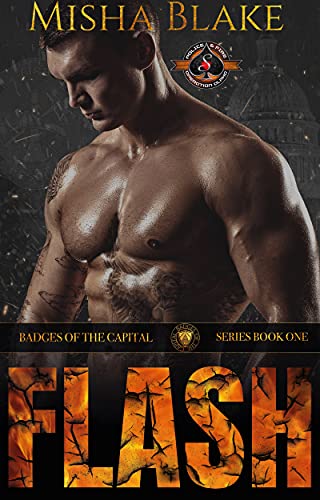 Flash (By: Misha Blake) cover