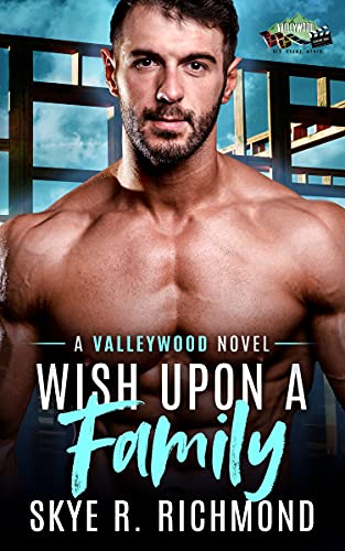Wish Upon A Family book cover