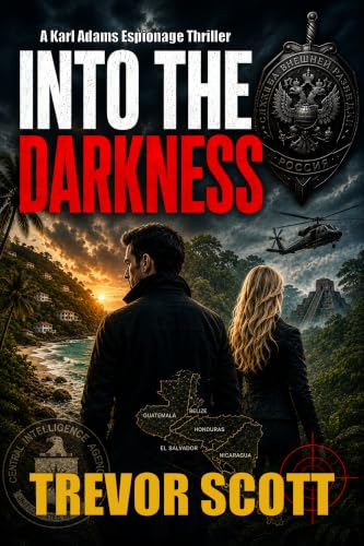 Into the Darkness book cover