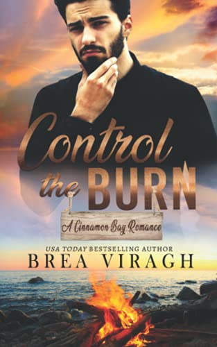 Control the Burn (By: Brea Viragh) cover