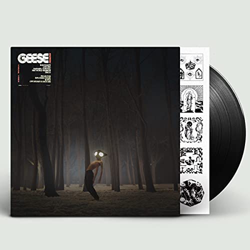 Projector[LP]
