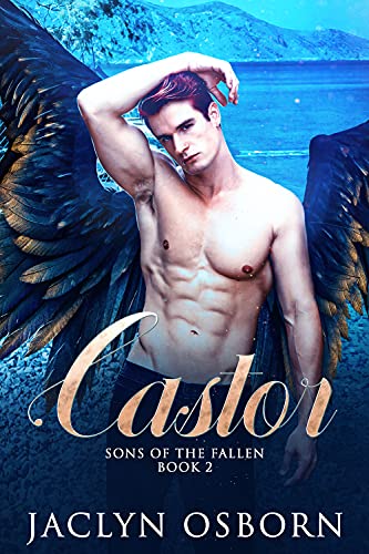 Castor book cover