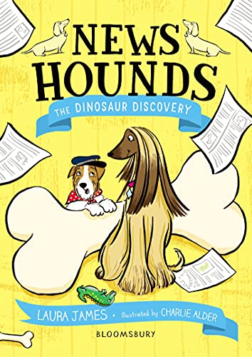 The Dinosaur Discovery book cover