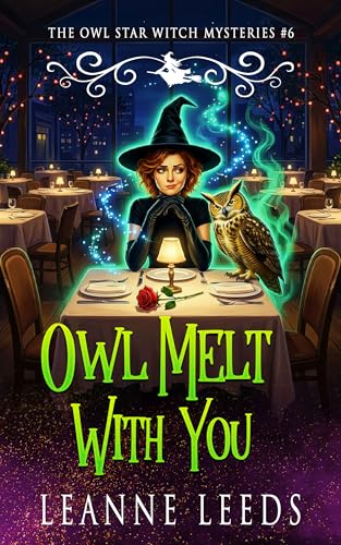 Owl Melt with You book cover