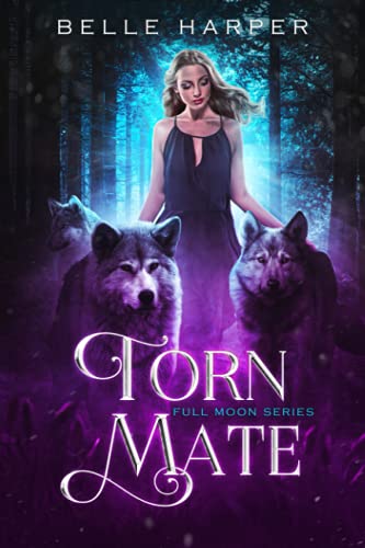 Torn Mate book cover