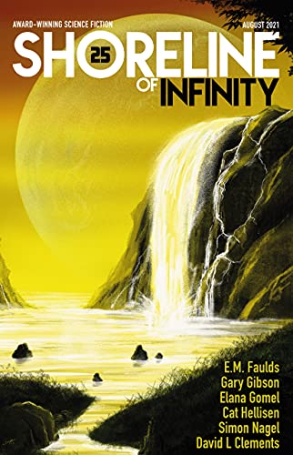 Shoreline of Infinity 25 book cover