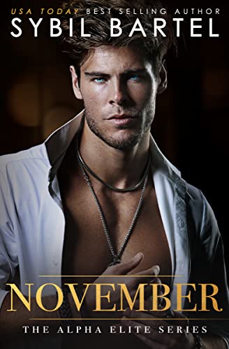 November book cover