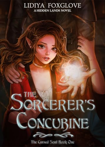 The Sorcerer's Concubine book cover