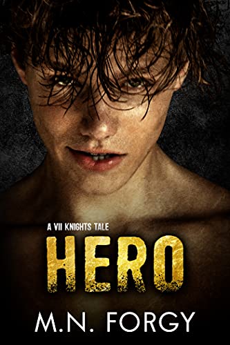 Hero (By: M.N. Forgy) cover