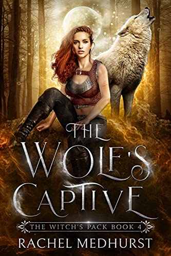 The Wolf's Captive cover