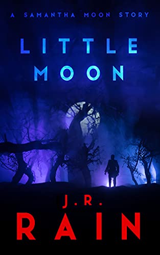 Little Moon book cover