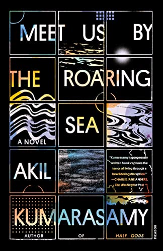 Meet Us by the Roaring Sea book cover