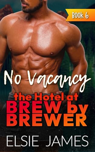 No Vacancy book cover