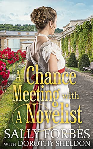 A Chance Meeting with a Novelist cover